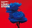 Grand Gallery presents LOVE! STEVIE