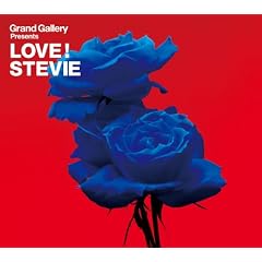 Grand Gallery presents LOVE! STEVIE