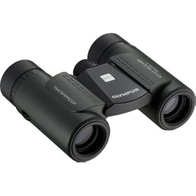 OLYMPUS �o�ዾ ���^�y�� �h�� 10x21 �_�[�N�O���[�� 10X21RC II WP DGR