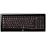 ���W�N�[�� ���C�����X�L�[�{�[�h K340