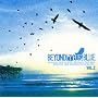 BEYOND[THE]BLUE vol.2(DVD�t)