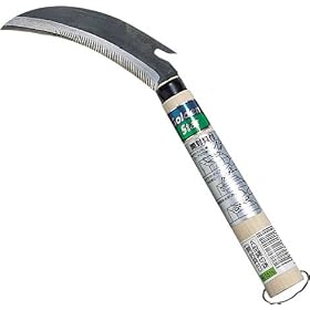 �S�[���f���X�^�[ �� A�^�i���؊�(�J����t) 1516