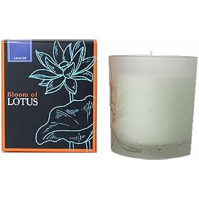 �u���[�� �I�u ���[�^�X �t���O�����X�L�����h�� �����@���h 150g