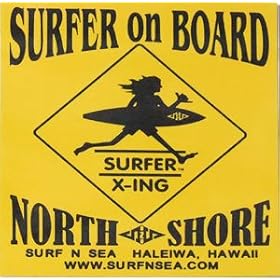 �T�[�t���V�[�@�E�B���h�[�p �X�e�b�J�[ SNS-RVRSBL-WINDOW-DECAL