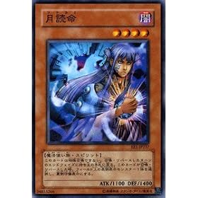 �V�Y���J�[�h �y���ǖ��z EE1-JP237-N �s�G�L�X�p�[�g�G�f�B�V����1�t