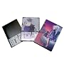DARKER THAN BLACK-���̌_���- Vol.2 [DVD]