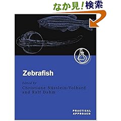 【クリックでお店のこの商品のページへ】Zebrafish: A Practical Approach (The Practical Approach Series)