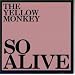 SO ALIVE