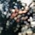 Obscured by Clouds