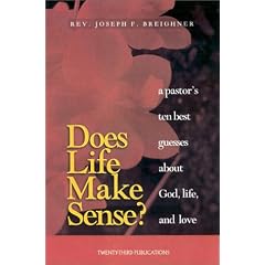 Does Life Make Sense?: A Pastor's Ten Best Guesses About God, Life, and Love