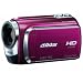 ���{�r�N�^�[ 60GB�n�[�h�f�B�X�N���[�r�[(���b�h) GZ-HD300-R