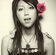 ROSE ALBUM (�ʏ��)
