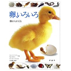 ���A���낢��\�����炩���� (�����}���فE�Ȋw�̕���)