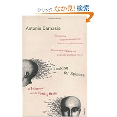 Looking for Spinoza: Joy, Sorrow, and the Feeling Brain