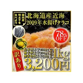 �y�󂠂�z�@2009�N�k�C���ߊC���g���^���R���ׁI�����F�����q500���M�q�����q250�����z�����q250���@���v1����