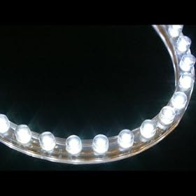 �yLED�`���[�u�z48�� �� LED�t���b�g���o�[ �}�W�F�X�e�B�[125/250/4HC/C �}�O�U�� T-MAX