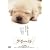�N�C�[�� [DVD]