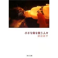 �����Ȗ����~���l�X (�p�앶��)
