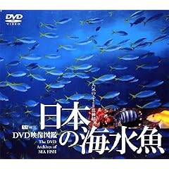 �V���t�H���X�gDVD ���{�̊C���� DVD�f���}��
