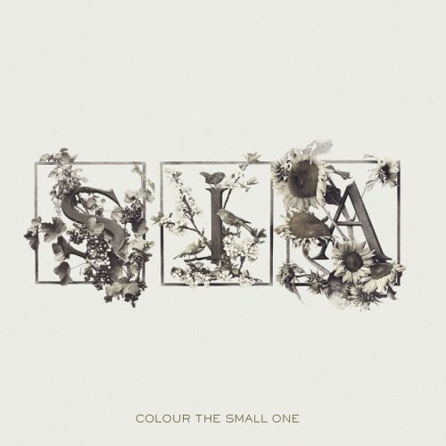  Colour The Small One