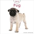 THE DOG �p�O�i�~�j�E�m�[�}���j [2012�N �J�����_�[]