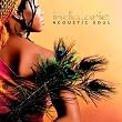 Acoustic Soul