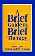 Brief Guide to Brief Therapy
