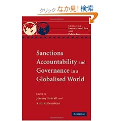 Sanctions, Accountability and Governance in a Globalised World (Connecting International Law with Public Law)
