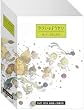 �₳���̂悤���� N.Y.SALAD DVDBOX