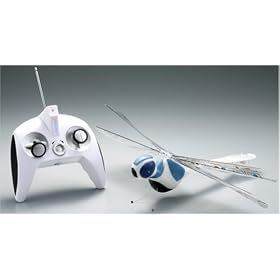 R/C ���J�g���{ �u���[