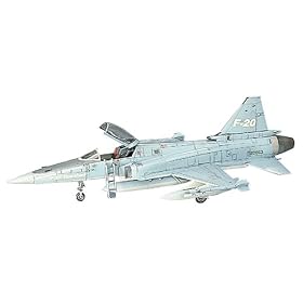 1/72 F-20 �^�C�K�[�V���[�N #B3