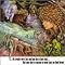 T.Rex�̃r�M�i�[����}�j�A�܂�