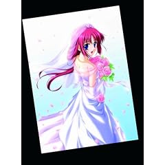 D.C.S.S.~�_�E�J�[�| �Z�J���h�V�[�Y��~ DVD-BOX