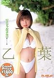 ���t [DVD]