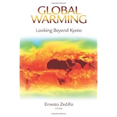 Global Warming: Looking Beyond Kyoto