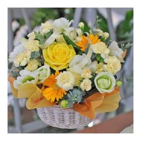 �y���������z �h���[���X�^�[�k���F�n�l���a�����A���j���A����A�����������ɁE�E�E�ԍH�[�ԑ���G�[�f�����C�X �t�����[�M�t�g