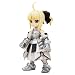 Fate/stay night �Z�C�o�[�E�����B���� (�m���X�P�[�� �v���X�`�b�N�L�b�g)