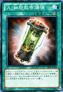  �V�Y���J�[�h �y�u�`�v�זE�U�z���e�z DE01-JP100-N ��f���G���X�g�G�f�B�V�����P��