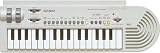 CASIO DTM�L�[�{�[�h GZ-5