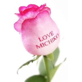 �y���ʂȓ��ɂ������߂̃M�t�g�z���b�Z�[�W�E���[�Y�E�s���N�i���ԁj �{�X�g���X�t���[�̏��ю��C���̌�
