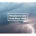 �y���񐶎Y����zHeadache and Dub Reel Inch(�h�L�������^���[�t�B�������^)