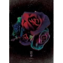 CLIPS [DVD]