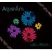 Aquantum