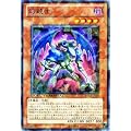 �V�Y���J�[�h �y���e�m�z DT12-JP006-NR �s�f���G���^�[�~�i��-�G�N�V�[�Y�n���t