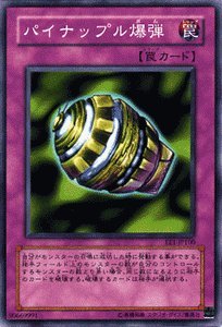  �V�Y���J�[�h �y �p�C�i�b�v�����e �z EE1-JP100-N �s�G�L�X�p�[�g�G�f�B�V����1�t
