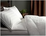  Pinzon Pyrenees Full/Queen Medium Warmth White Goose Down Comforter