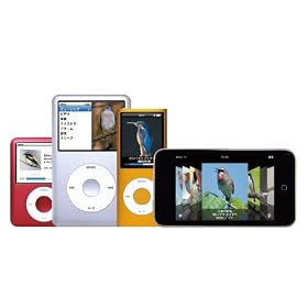 Birdsong for iPod