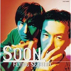 Flying Seabird