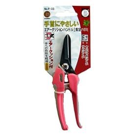 �T�{�e�� �G�A�[�N�b�V�����t�X���������� P-33