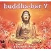 Buddha-Bar, Vol. V